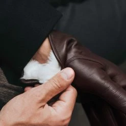 Fratelli Orsini Men's Gloves Marco (brown) - Lambskin Leather Gloves With White Fur Lining 3 Fratelli Orsini Men's Gloves Marco (brown) - Lambskin Leather Gloves With White Fur Lining