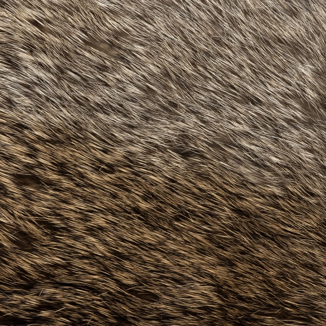 Fratelli Orsini Marco (brown) - Lambskin Leather Gloves With Brown Fur Lining 4 Fratelli Orsini Marco (brown) - Lambskin Leather Gloves With Brown Fur Lining